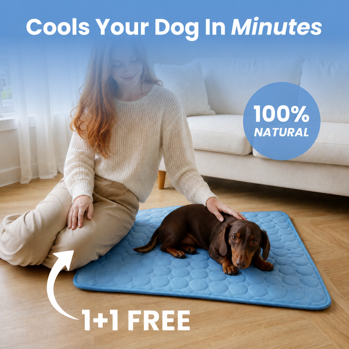 FreshPaw Cooling Mat for Dogs 7