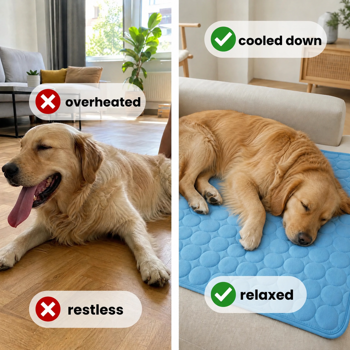 FreshPaw Cooling Mat for Dogs 5