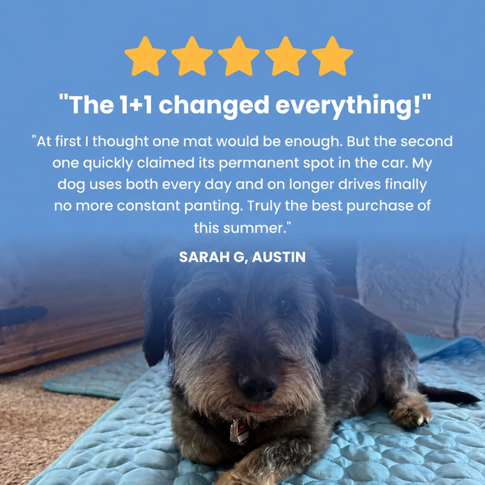FreshPaw Cooling Mat for Dogs 4