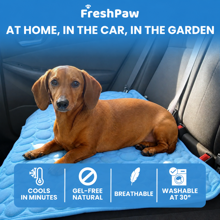 FreshPaw Cooling Mat for Dogs 2