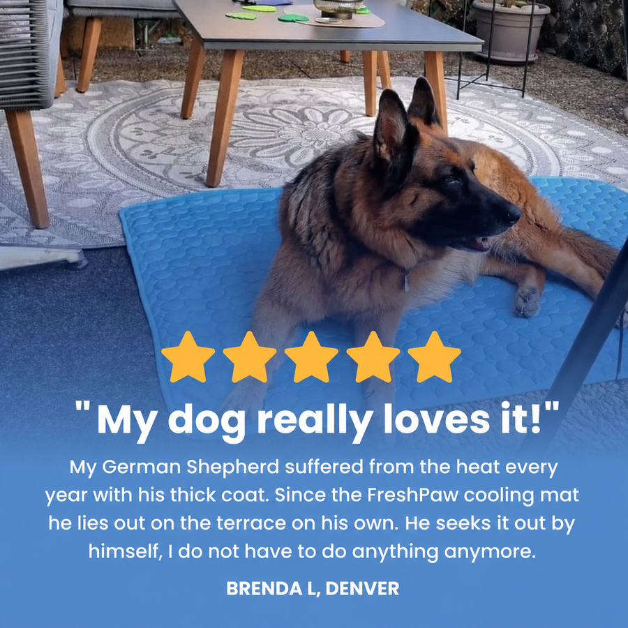 FreshPaw Cooling Mat for Dogs 6