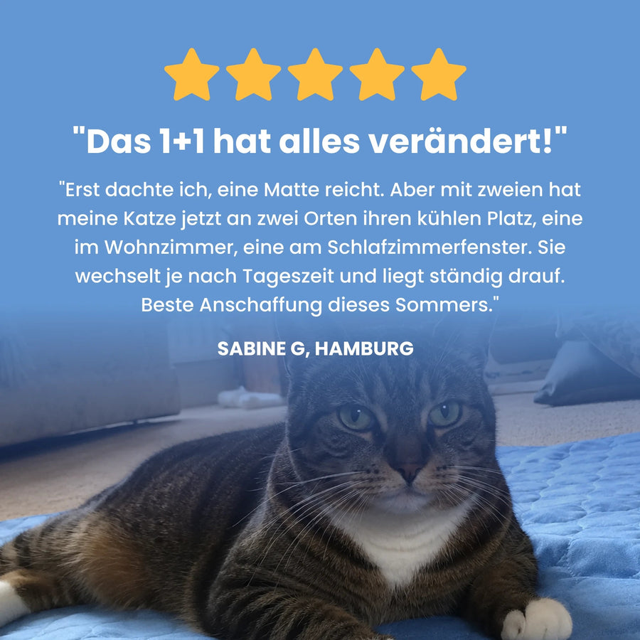 FreshPaw Cooling Mat for Cats 6