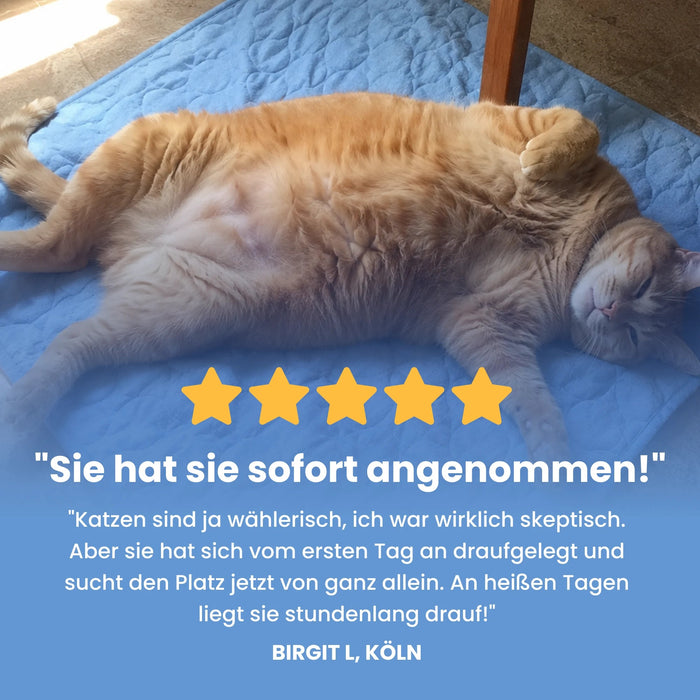 FreshPaw Cooling Mat for Cats 7