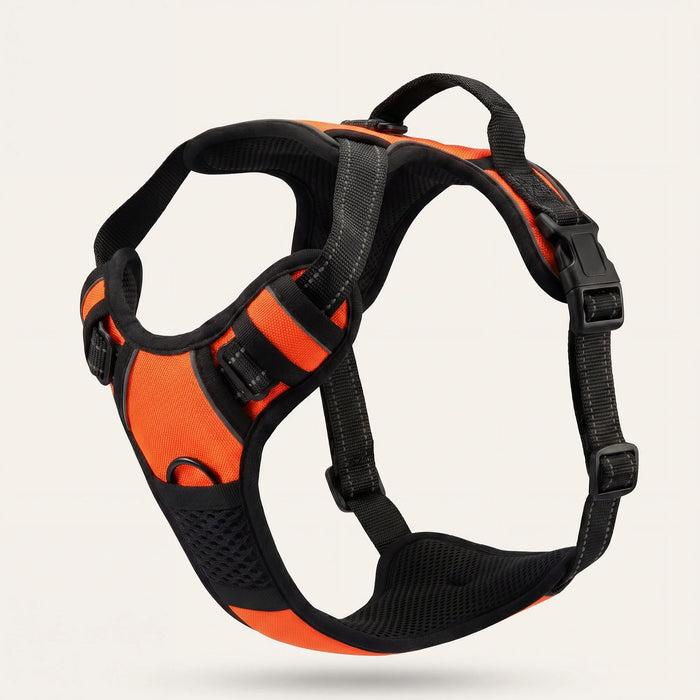FreshPaw™ Anti-Pull Harness 5