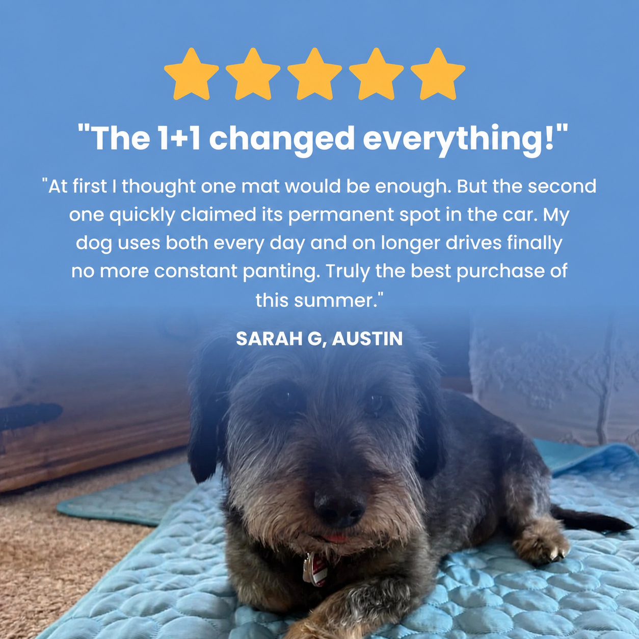 Customer review 1+1