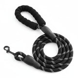 FreshPaw™ Everyday Lead 1