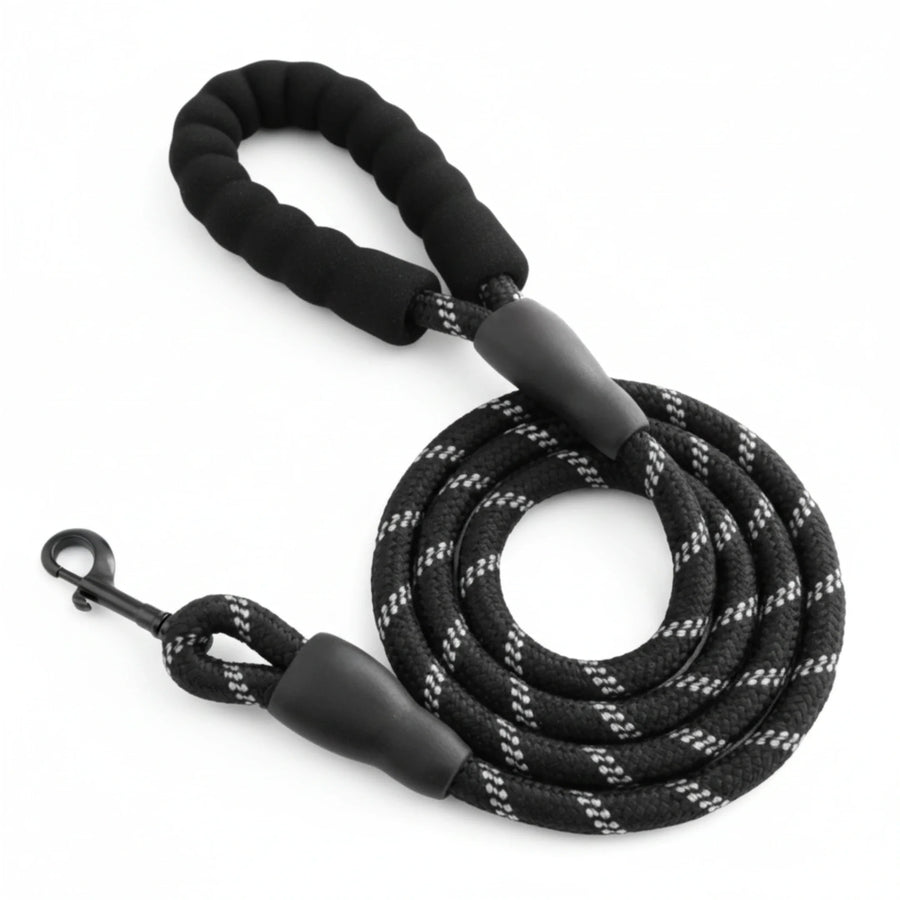 FreshPaw™ Everyday Lead 1