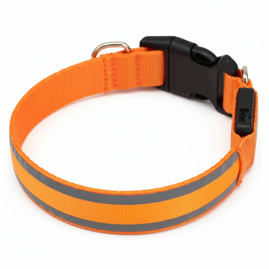FreshPaw™ LED Safety Collar 1