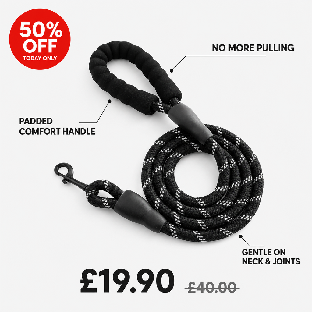 Leash