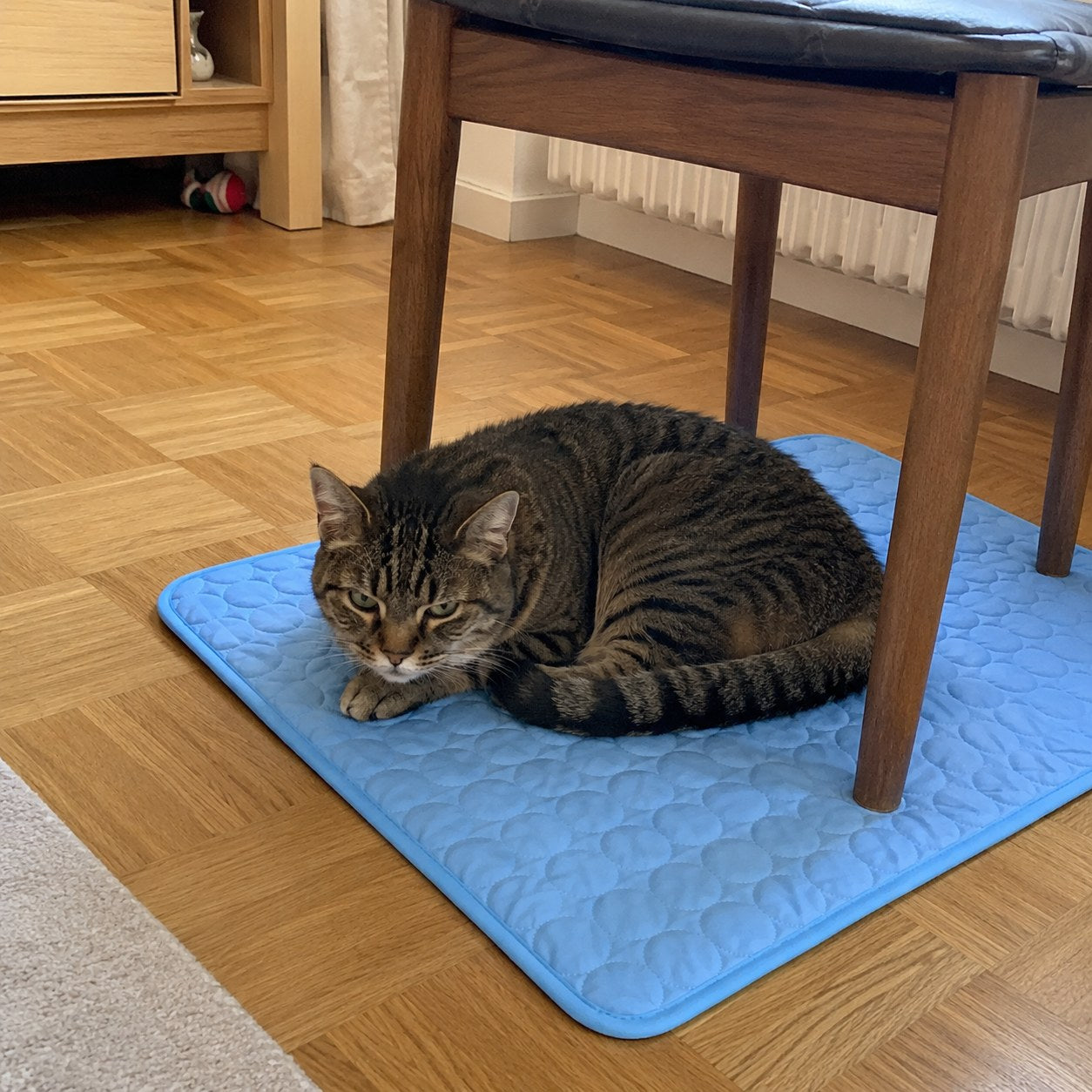 Your cat cannot sweat. Contact is its ONLY cooling system.